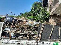 Best Furniture Removal  in Dunnavant, AL